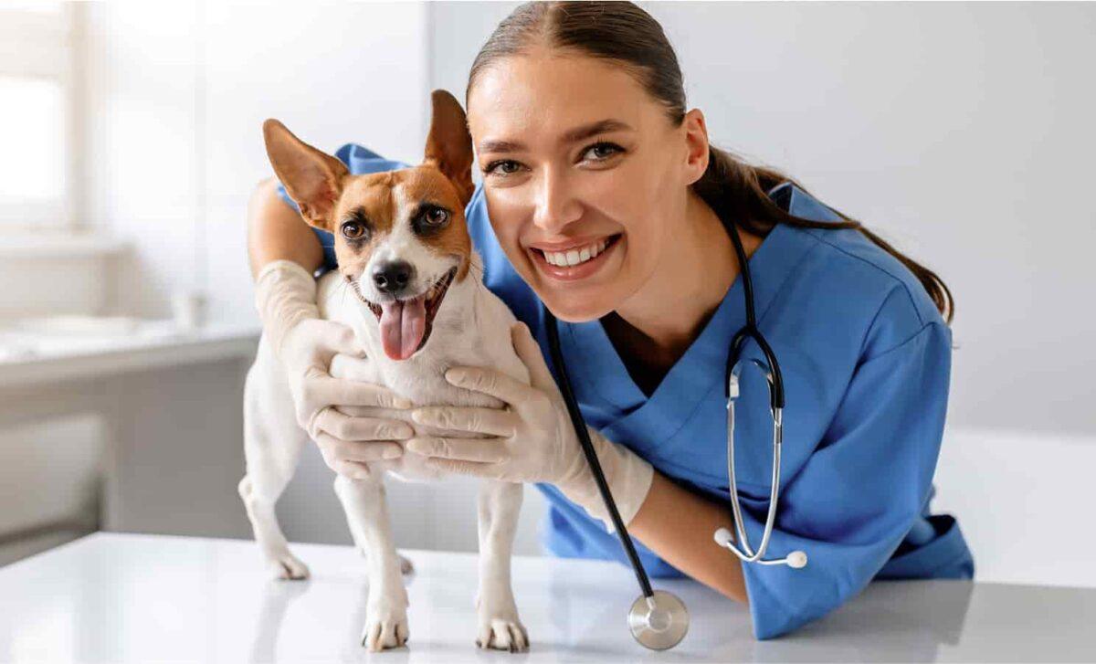 Vet Tech smilling next to small dog.